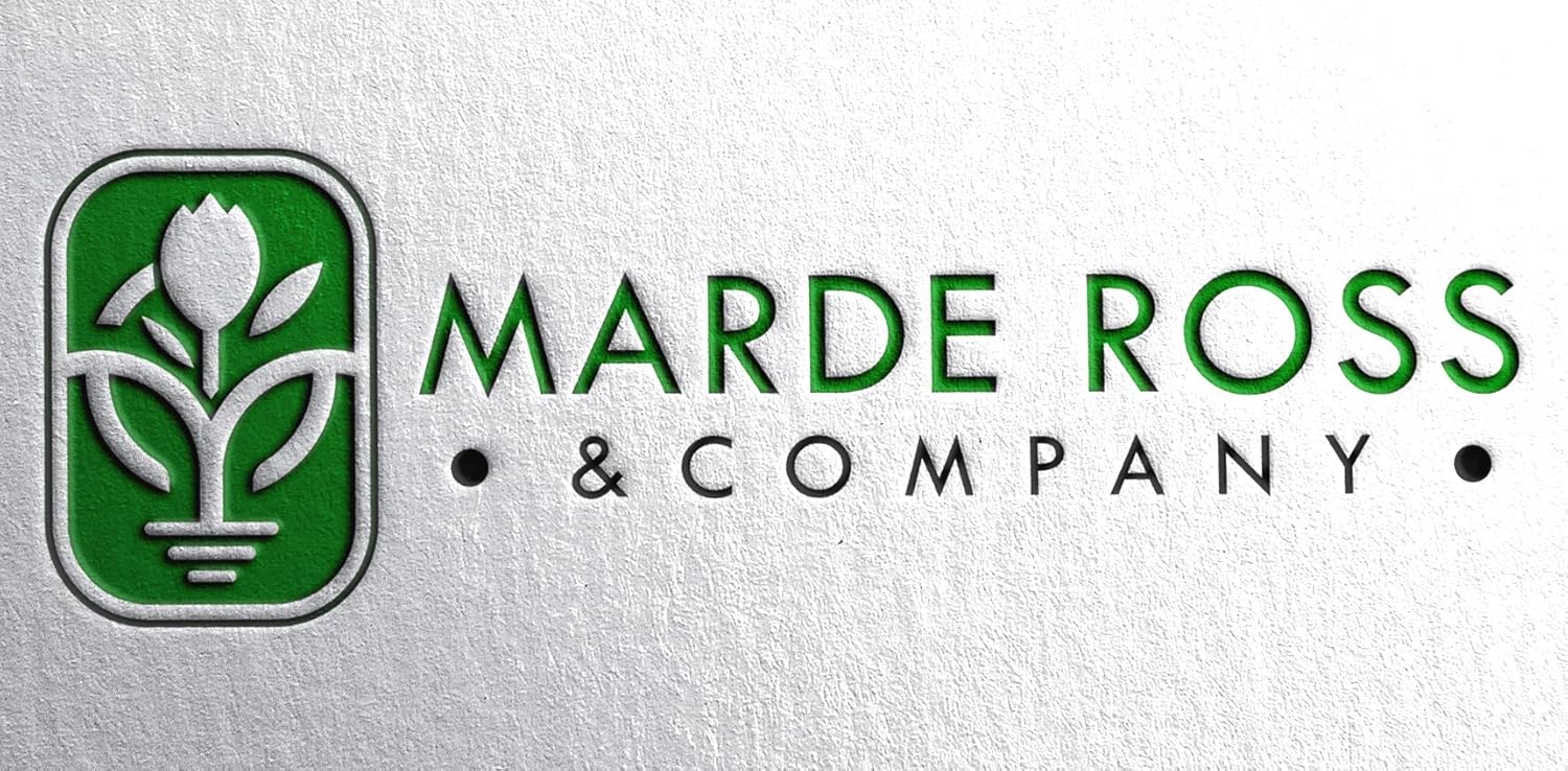 Marde Ross & Company 3 bulbos de tulipán de helado Bulbos de