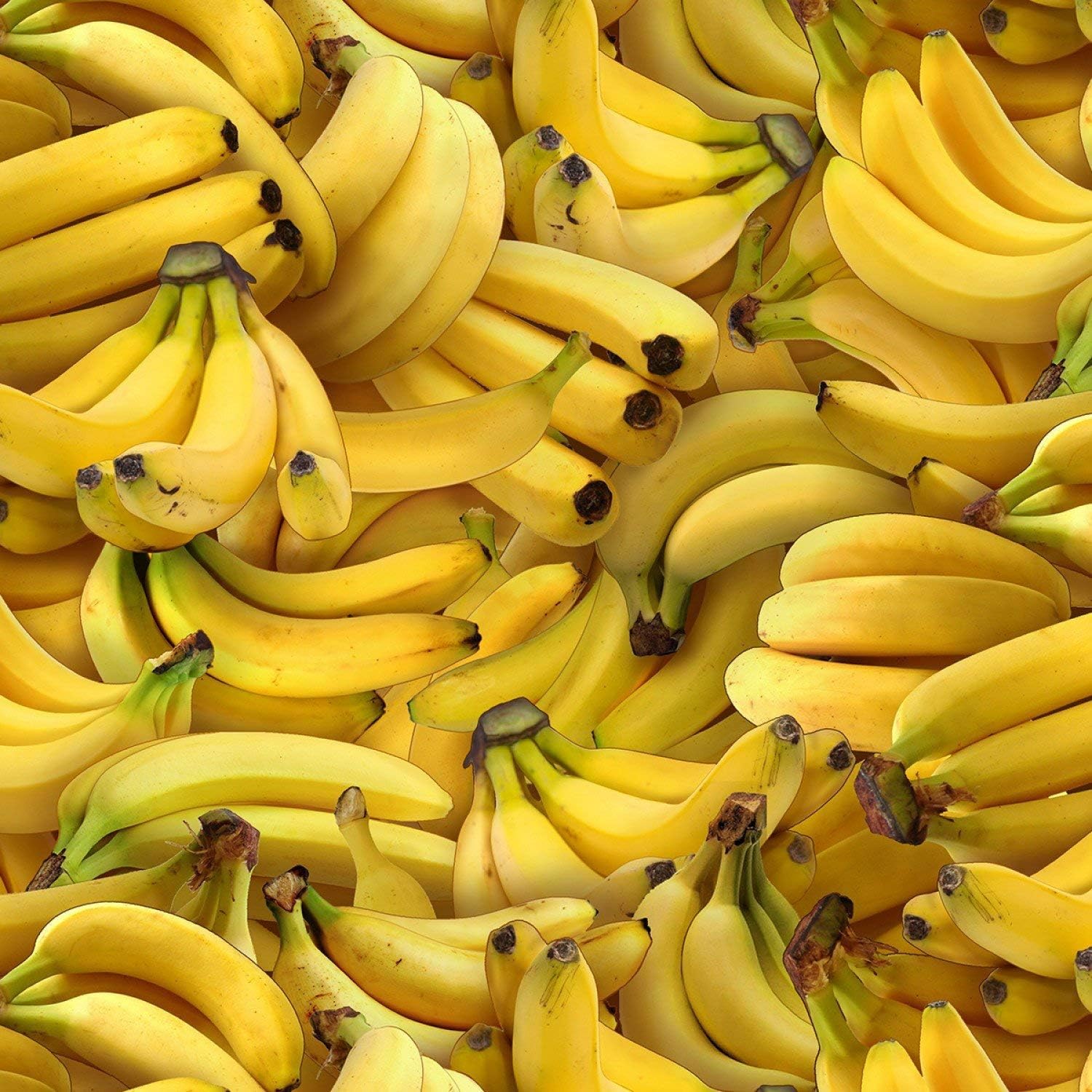 Food Fabric Banana in Yellow Premium Quality Cotton Fabric by The Yard