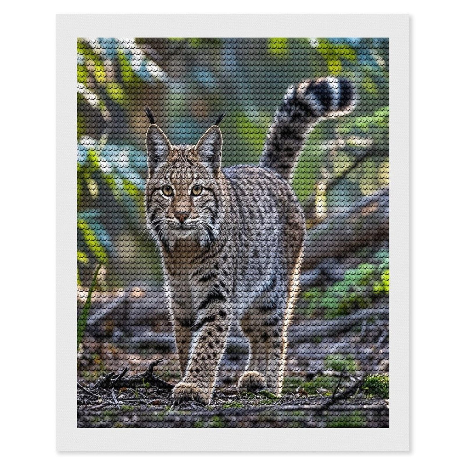 FekiLoot Wild Bobcat Diamond Painting Kits for Adults Full Round Drill Diamond Art Kits for Beginners 5D DIY Diamond Dots Paintings Diamonds Pictures Gem Art Home Wall Decor 16"x20"