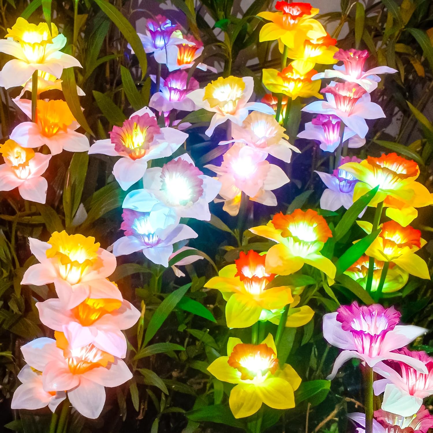 TONULAX Solar Garden Lights, Solar Daffodil Flower Lights, Color