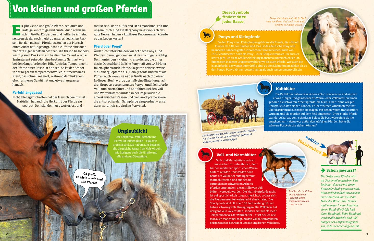 Was ist was: Pferde und Ponys: mehr als 100 Pferderassen und ihre Besonderheiten, über 650 Fotos!
