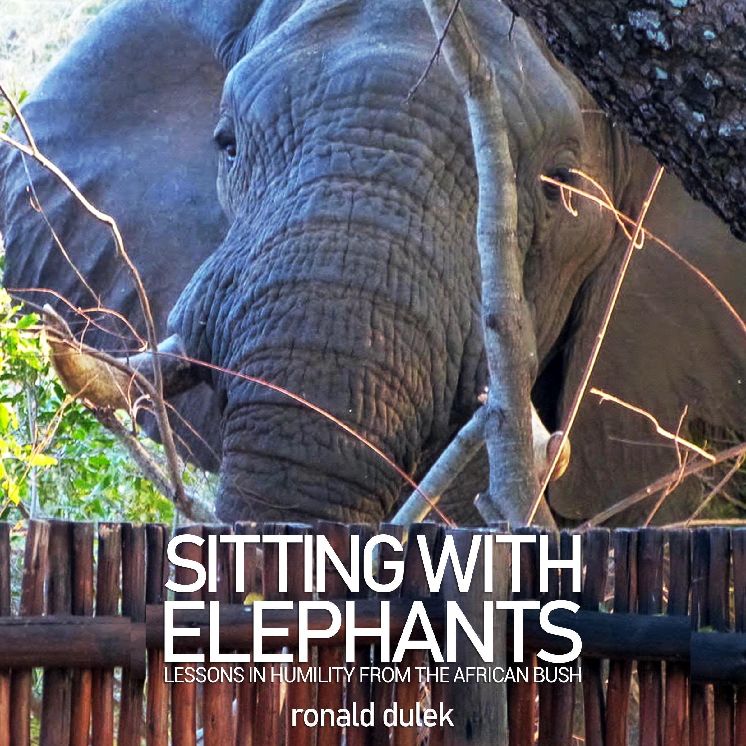Cover art for Sitting with Elephants