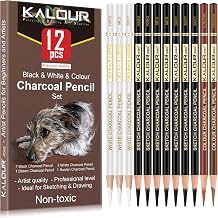 KALOUR Pro Colored Charcoal Drawing Set,12 Pieces Pastel Chalk Pencils for Sketching, Shading, Blending, Portrait, Black White Charcoal for Beginners & Artists