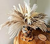 Review Image by L. Kozak L. Kozak