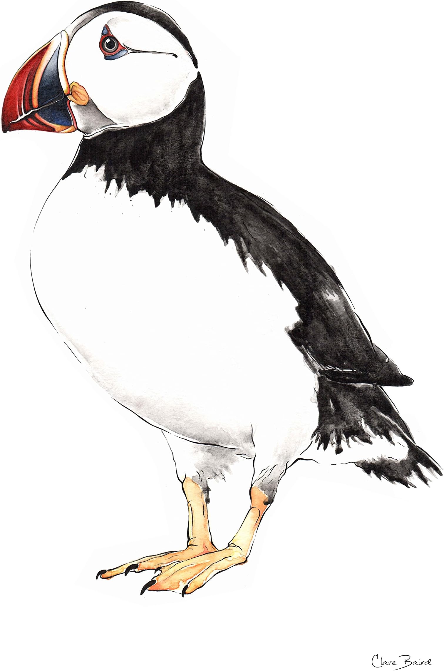 Clare Baird CreationsTea Towel in a Puffin Design