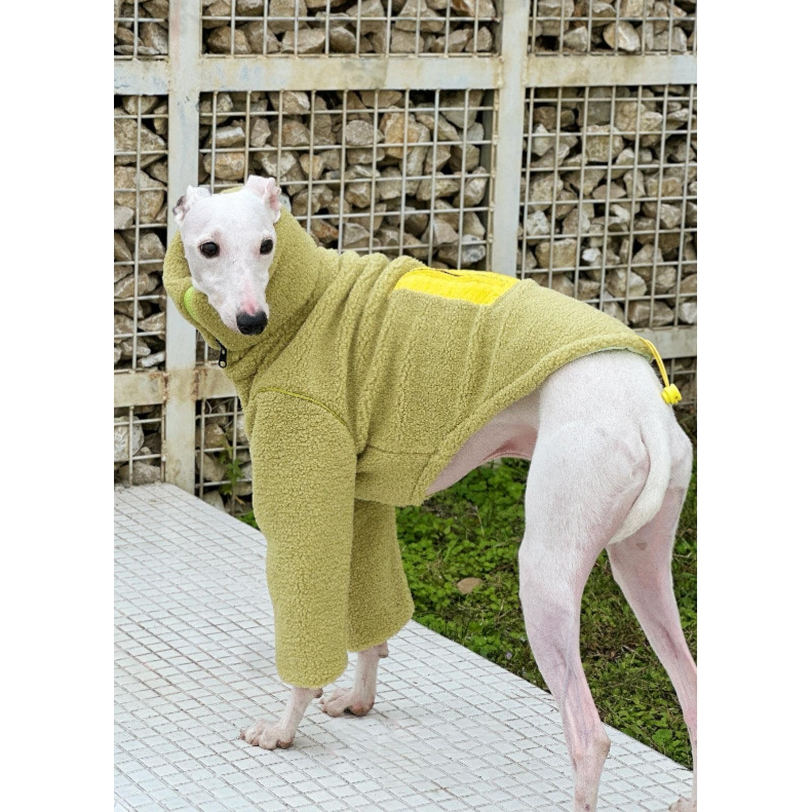 Manteau réversible for lévrier Italien, vêtements d'hiver à Fermeture | Sweat-shirt chaud à col roulé à deux pattes en polaire Sherpa Whippet for chiens de petite(XL)