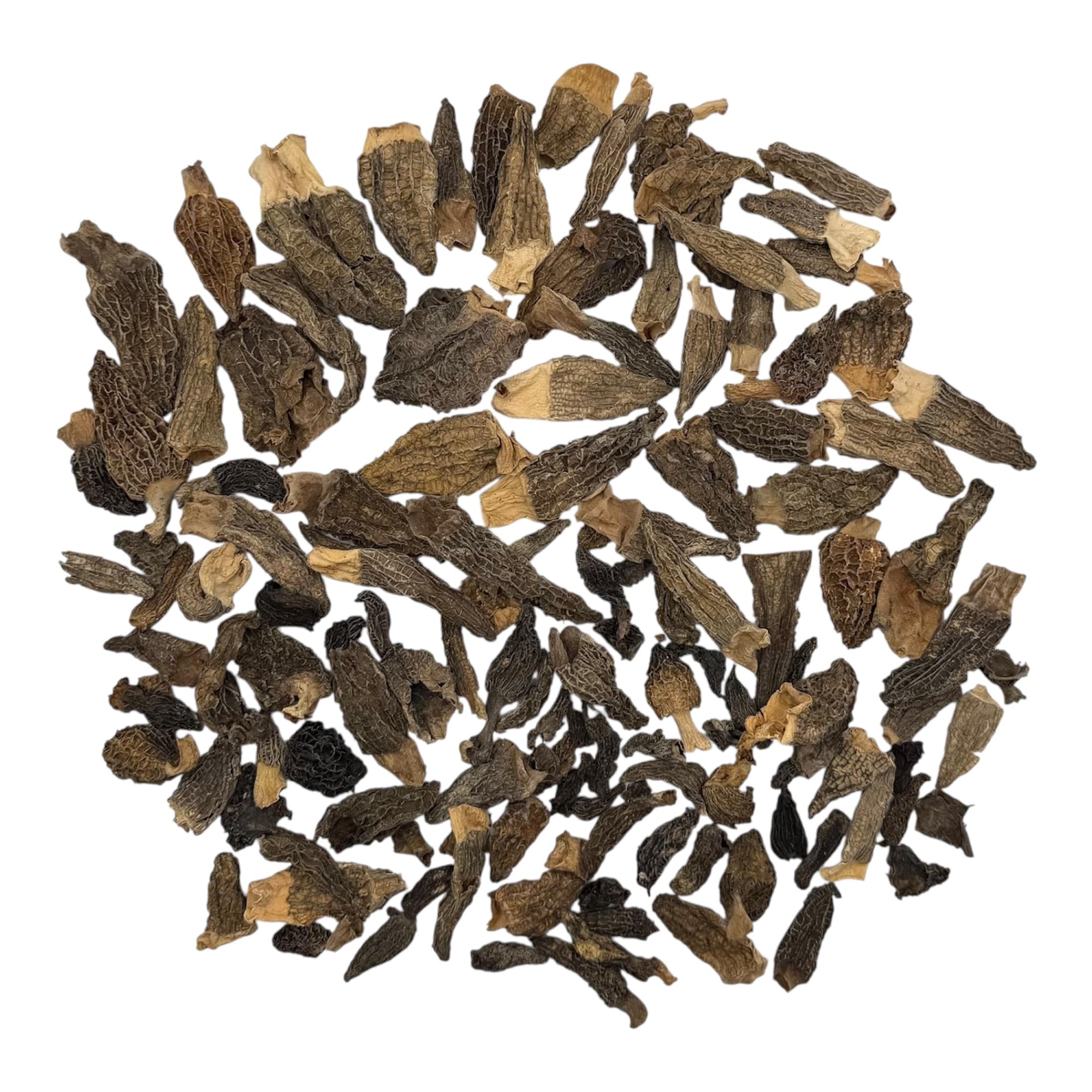 Spitzmorcheln aus Frankreich, getrocknet, Borde, 400g, Morscheln Extra