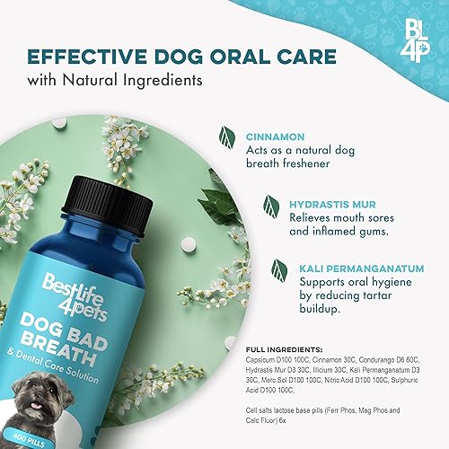 Miniatura 12 de Cuidado dental para perros y remedio para el mal aliento, cuidado bucal natural del perro para dientes saludables, boca y encías, ambientador diario