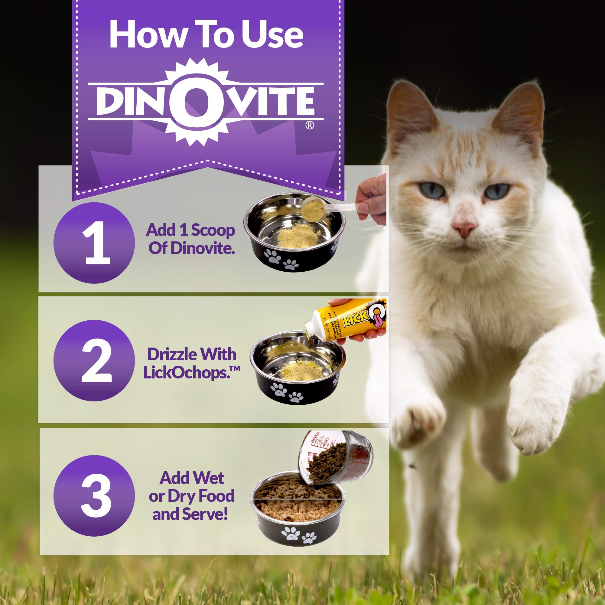 Dinovite: All Natural Supplements And Treats For Your Cat The Conscious ...