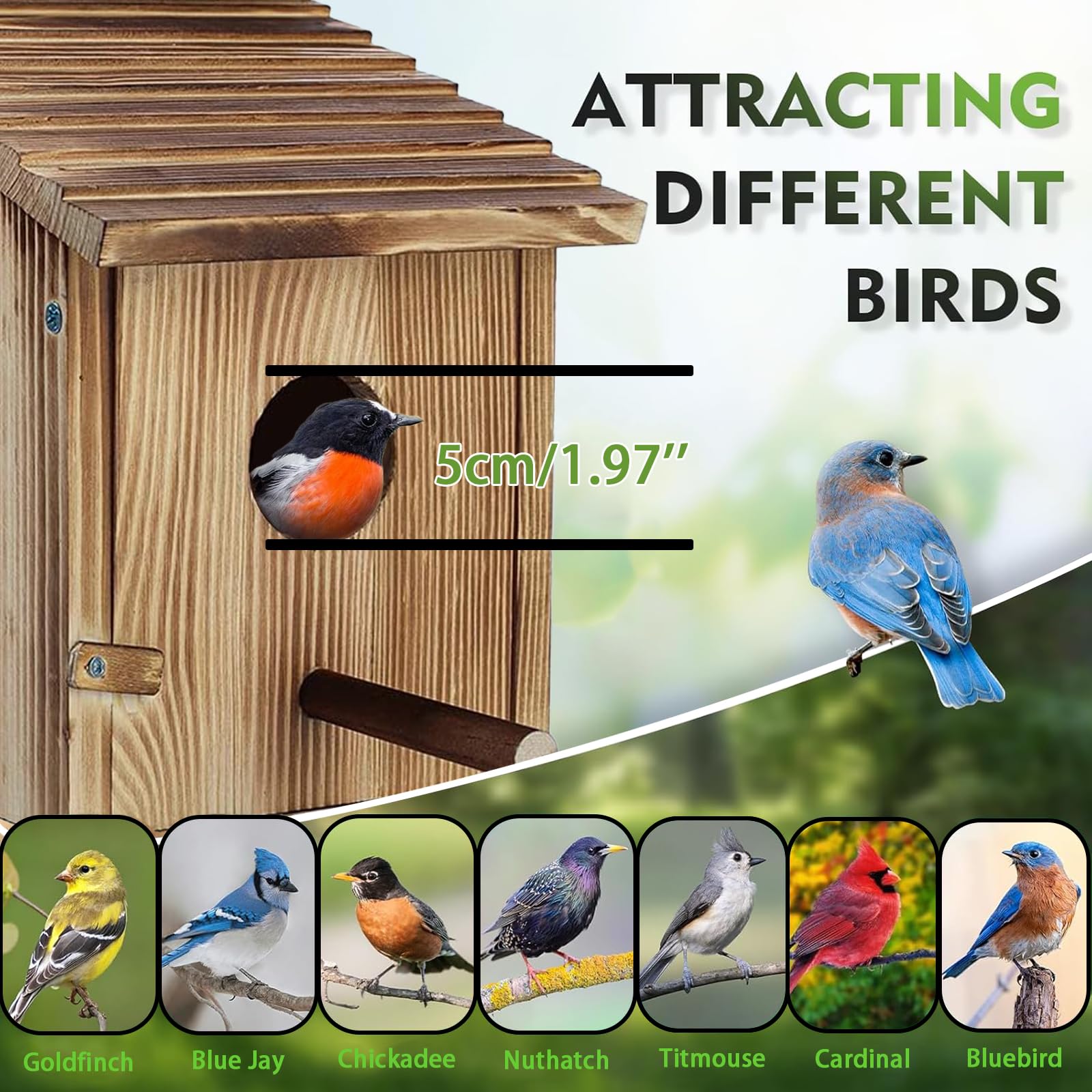 Casa Pajaros Exterior de Madera, Pajareras Exterior En Jardin, Caja de Madera para Colgar en el hogar, Resistente a la Intemperie, Nido CríA para Aves AmbientacióN con Orificio De Entrada