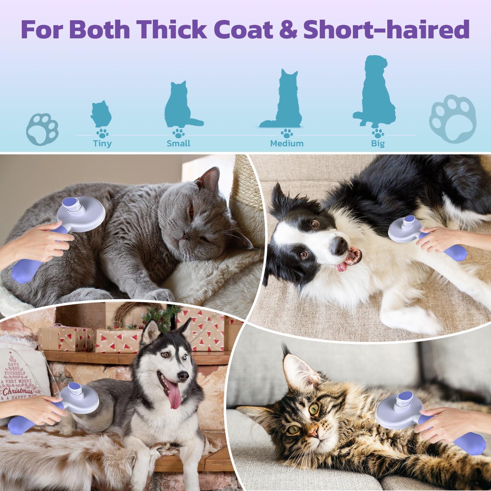 Zivacate Haustierbürste - Selbstreinigend Mit Ergonomischem Griff