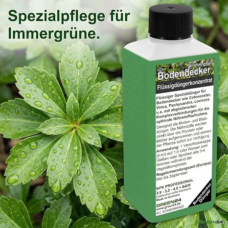 Groundcover Fertiliser Evergreen High-Tech - 250 ml Special Fertiliser for Cotoneaster Vinca & Pachysandra For Dense Growth & Lush Green Areas Professional Liquid Fertiliser Concentrate