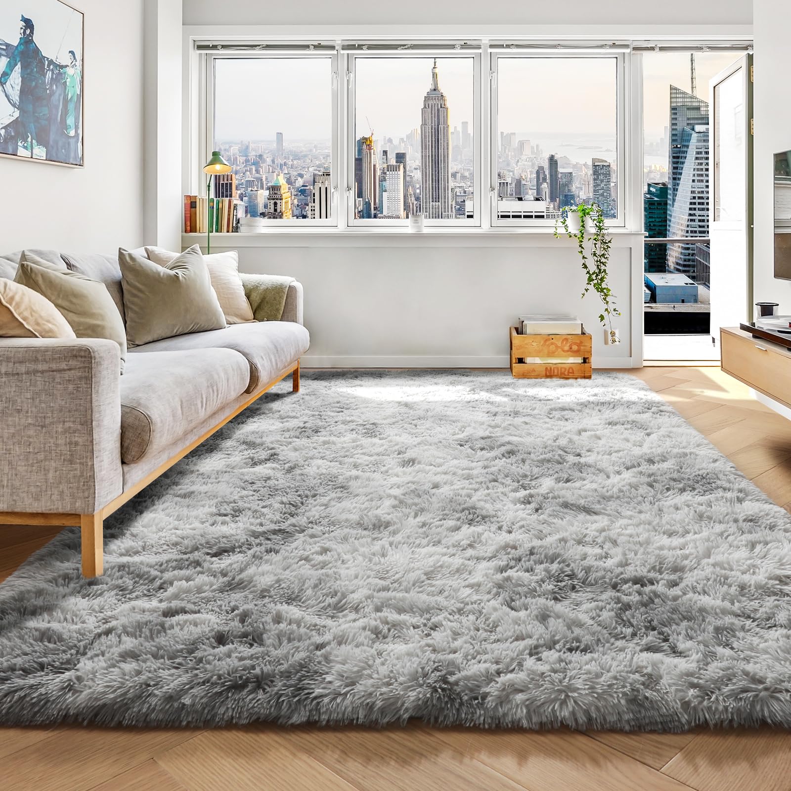 ONASAR Area Rugs for Bedroom Living Room, 4x6 Tie-Dyed Light Grey Fluffy Shaggy Bedside Throw Rug, Indoor Soft Plush Floor Carpet for Nursery Kids