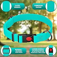 Vista 3 de Collar de perro ajustable con código QR identificación adjunta, fabricado en Estados Unidos, collar de perro resistente al agua con hebilla