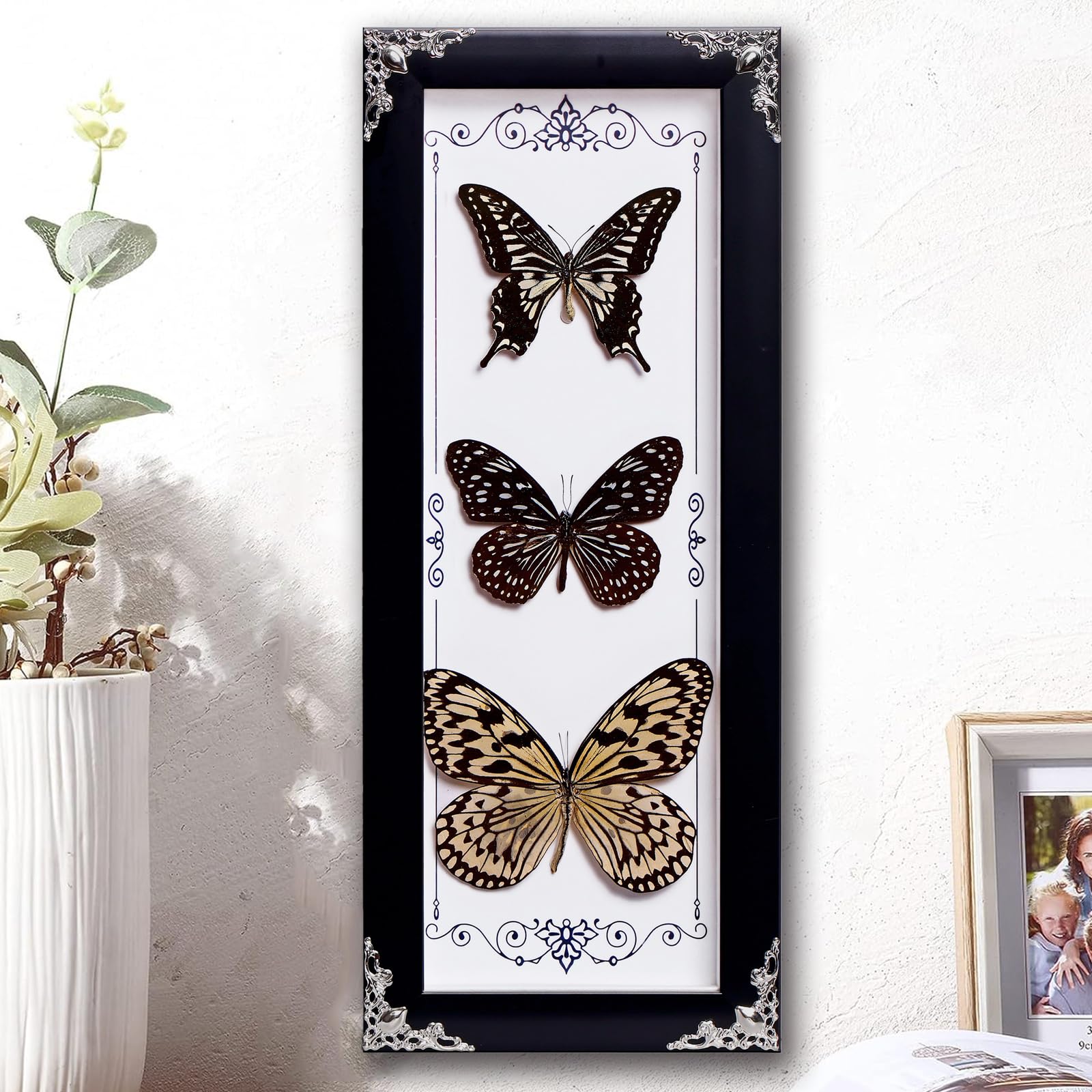 Amazon.com - Framed 3 Real Butterfly Gothic Decor, 15.2