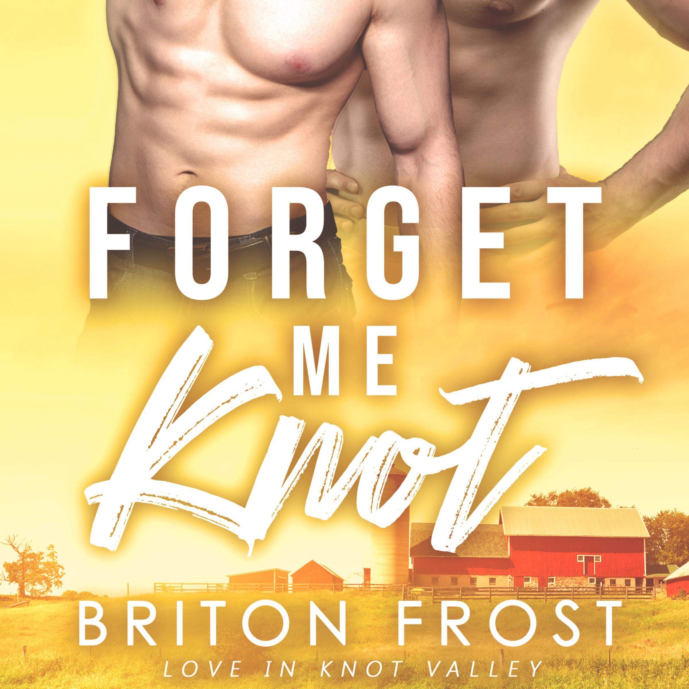 Forget Me Knot: An MM Mpreg Romance
