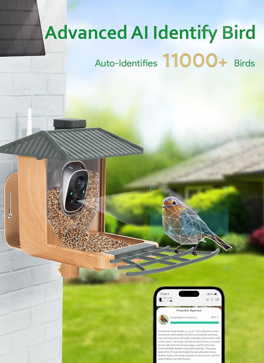 osoeri bird feeder with camera, smart ai identify wild bird feeder camera solar powered, auto capture videos & motion detection, diy add-ons & hummingbird feeder, ideal gift for bird lover wood grain single bin