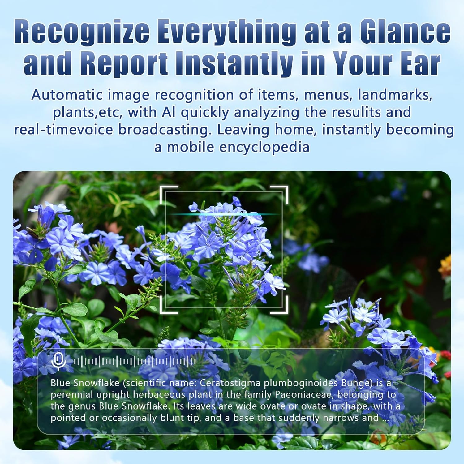 Upgraded AI Smart Glasses with Camera 8MP HD1080P Video Glasses with Camera and Audio -Video Recording Glasses with Audio, Video Glasses, Real-Time Translation (Carbon Black) - Image 6