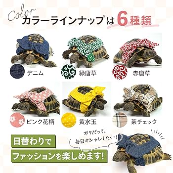 Amazon.co.jp: Quaford リクガメさんのおむつカバー 『こはぜ