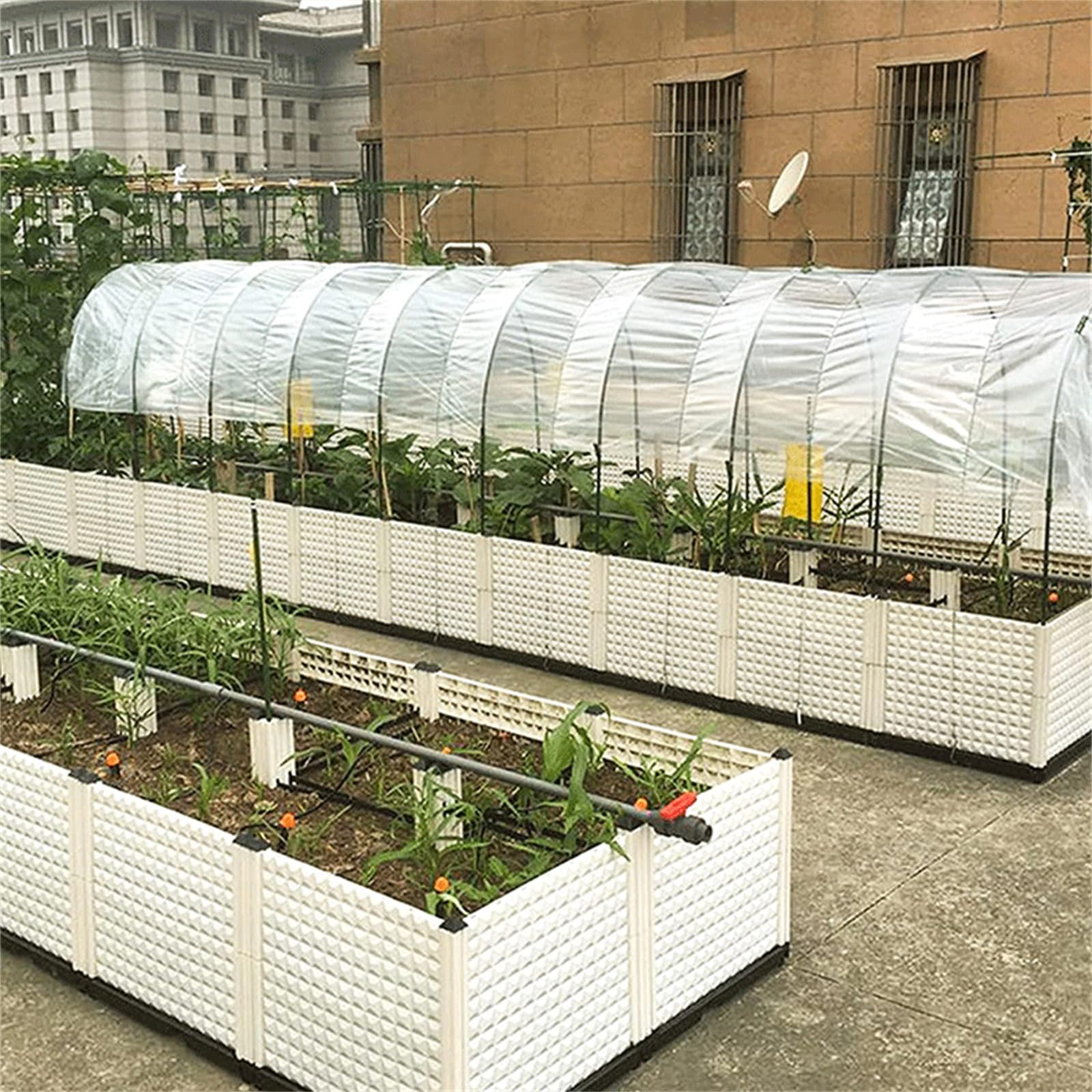 Film de serre transparent en polyéthylène 500 x 450 cm, imperméable, résistant aux UV, pour l'agriculture de jardin