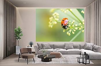Amazon.co.jp: VOCBAN 絵画 装飾画 てんとう虫がクミンの花の蜜