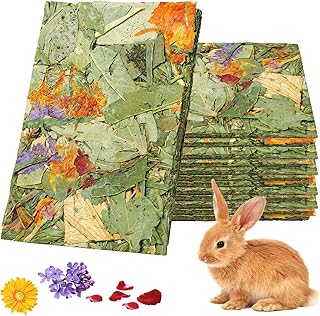 Hasen Kauspielzeug, 15 Stück Natürliche Kaninchen Leckerlies, Kaninchen Kauspielzeug, Kaninchen Spielzeug Kauspielzeug, Kaninchen Leckerli, Timothy Heu Spielzeug Kräcker product image