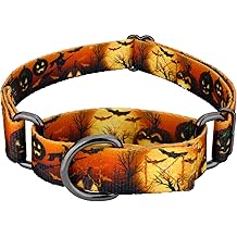 Country Brook Petz - Collier pour chien Midnight Fright Gunmetal Martingale - Collection Halloween avec des motifs effrayants (1 pouce, extra large)
