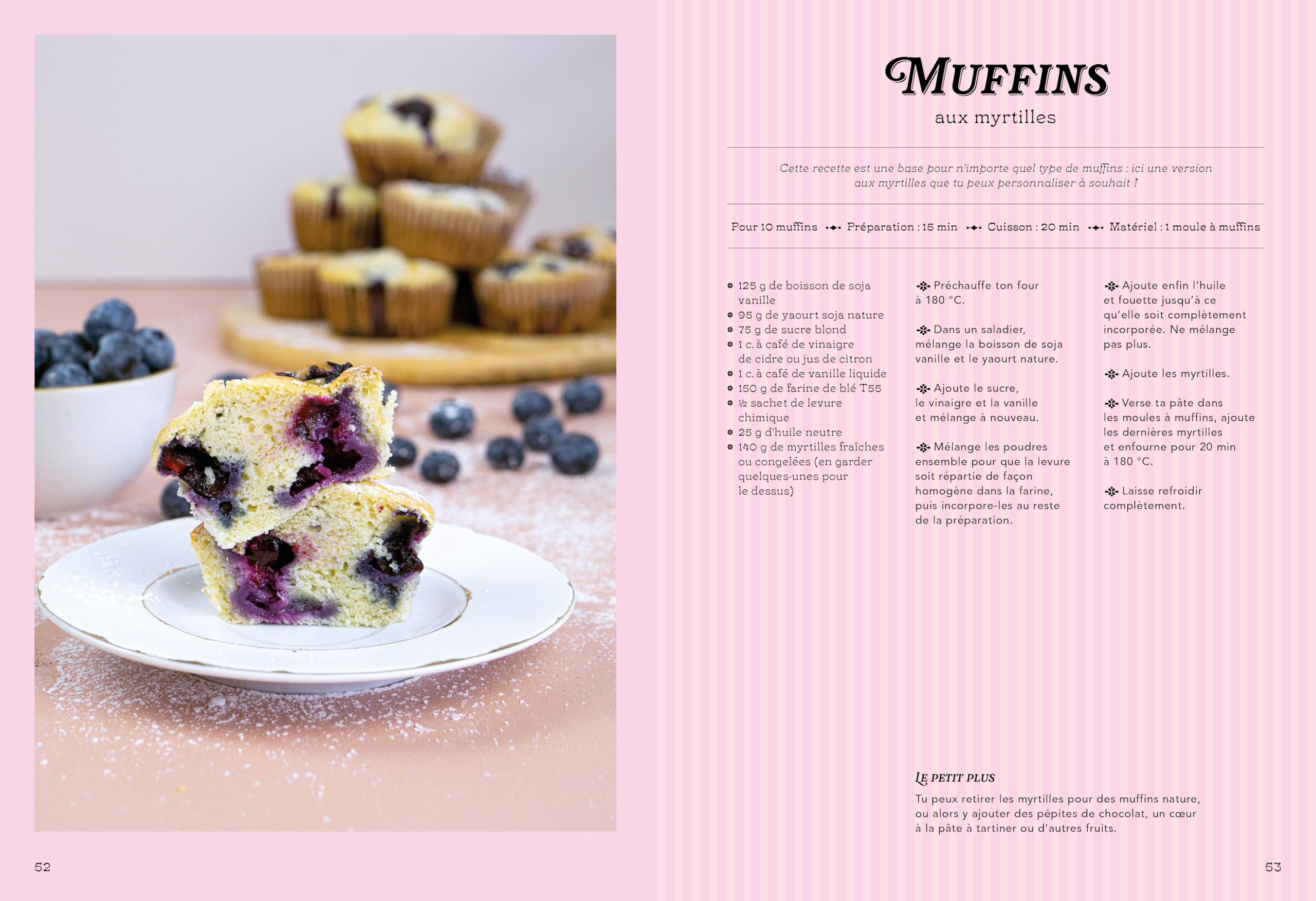 Le Grand Livre des Gâteaux de Famille: Recettes sans oeufs ni produits laitiers