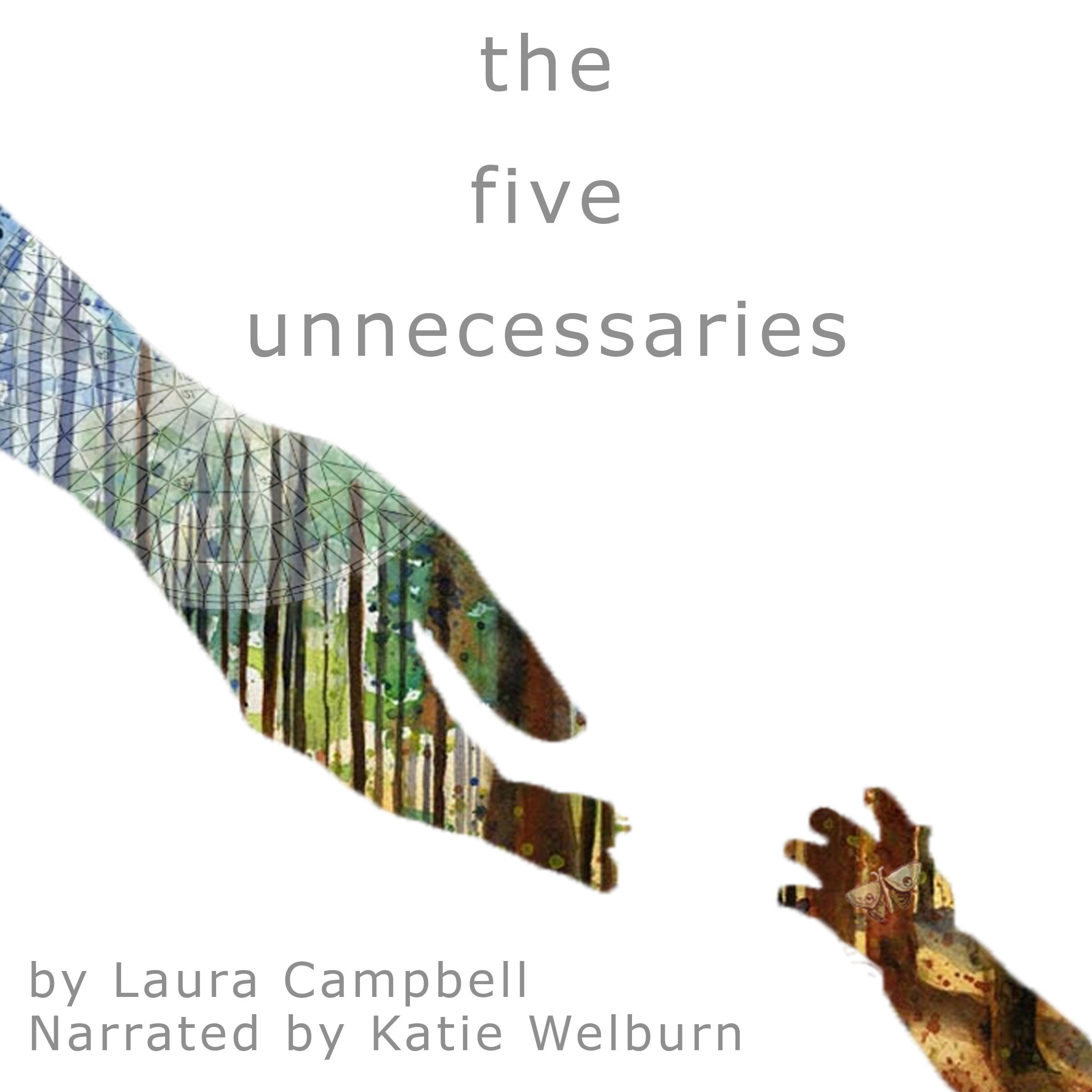 Cover art for The Five Unnecessaries