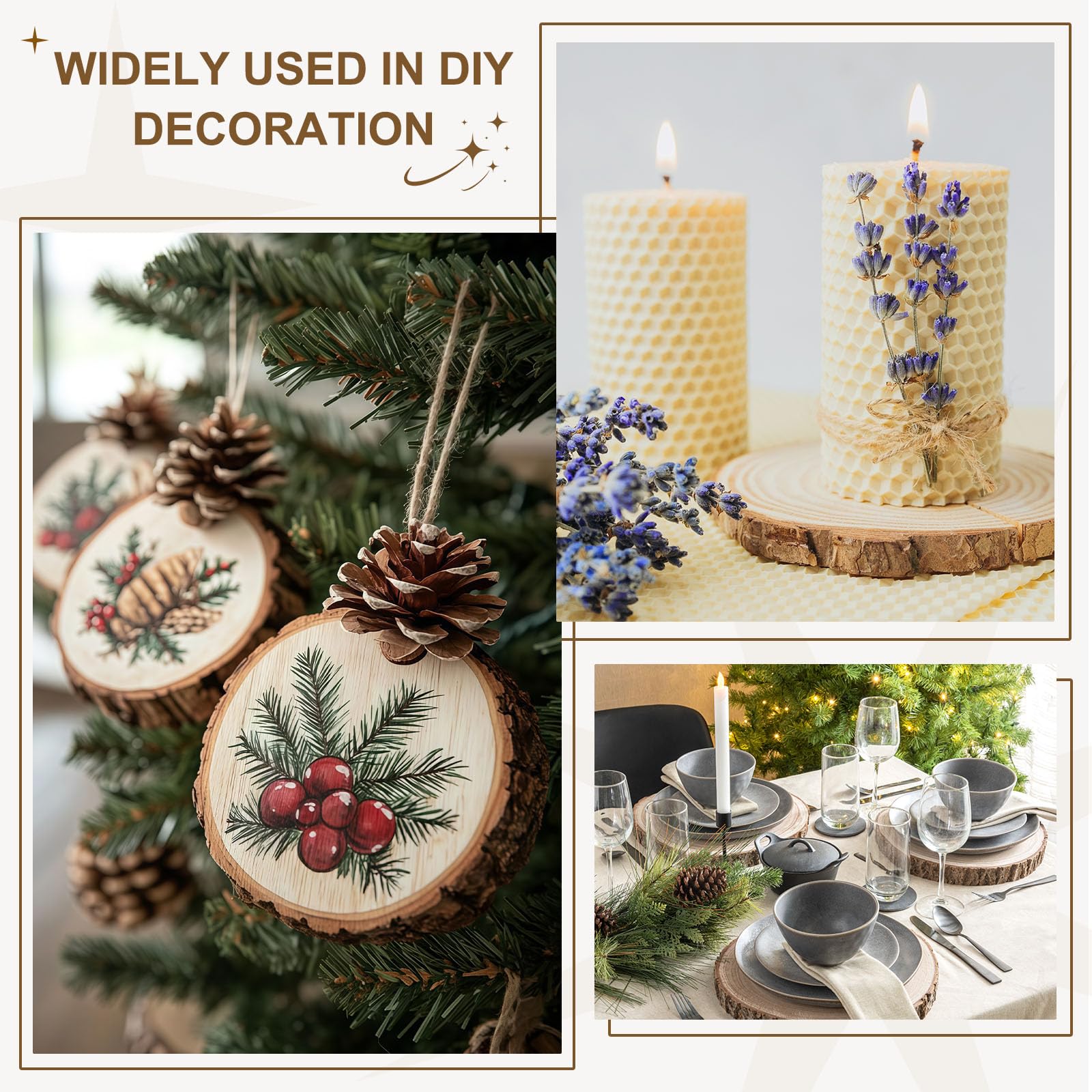 10 Stück Unbehandelte Holzscheiben - 15-16cm Natürliche Holzkreise Scheiben Mit Baumrinde Runde Holzuntersetzer [Für DIY Basteln Tischdekoration Weihnachtsschmuck Deko]