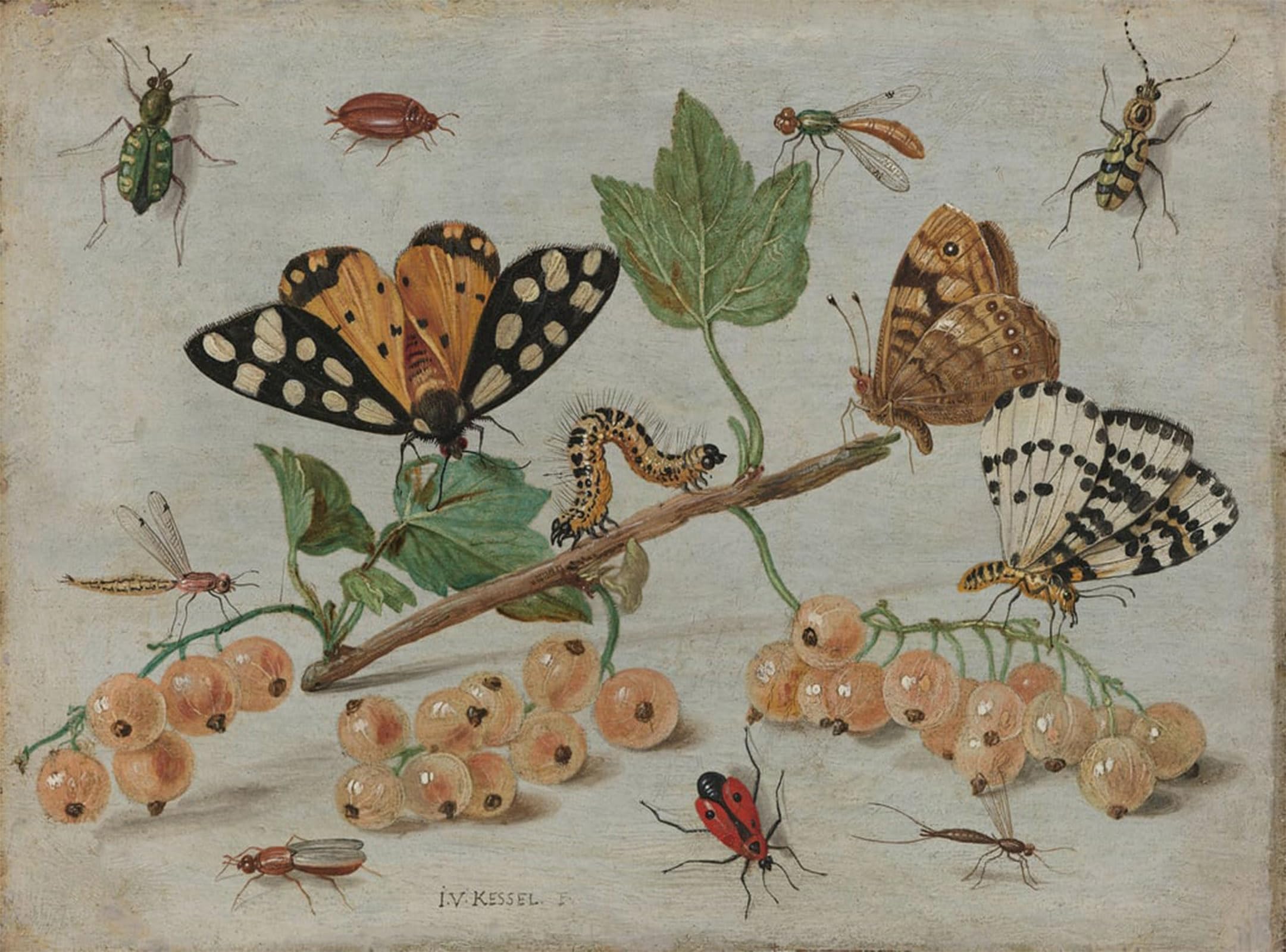 Lienzo decorativo de Jan Van Kessel ideal para transformar la decoración del dormitorio 5