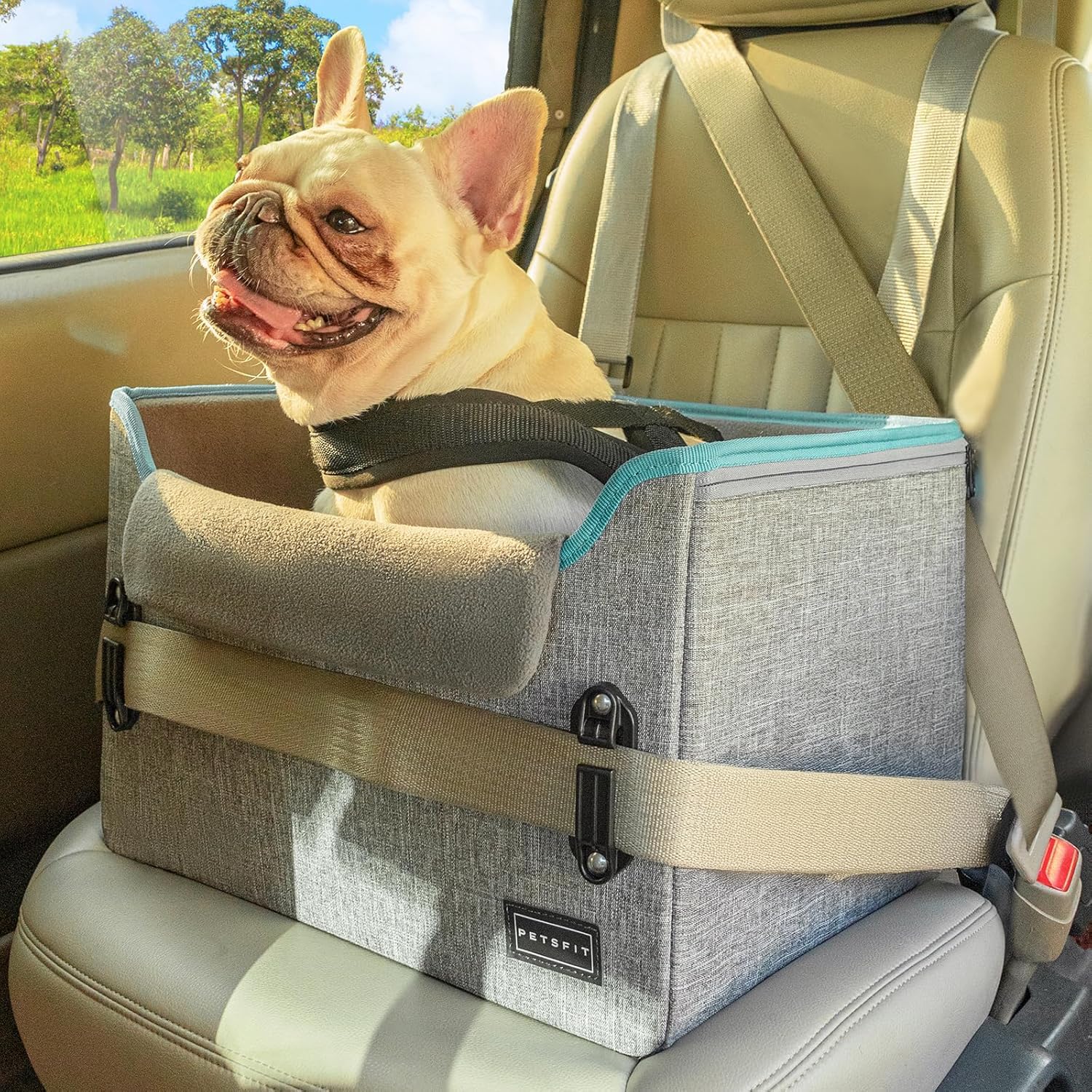 Petsfit Seggiolino Auto Trasportino per cani piccoli,Seggiolino cane auto anteriore con clip di sicurezza per la cintura e cuscino in peluche per cani piccoli fino a 6 kg