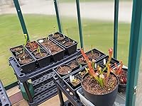 Review Image by HJK HJK