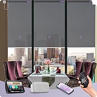 Vista 1 de Graywind - Cortinas solares motorizadas compatibles con Alexa, Google, WiFi, casa inteligente, control remoto, persianas eléctricas con filtro