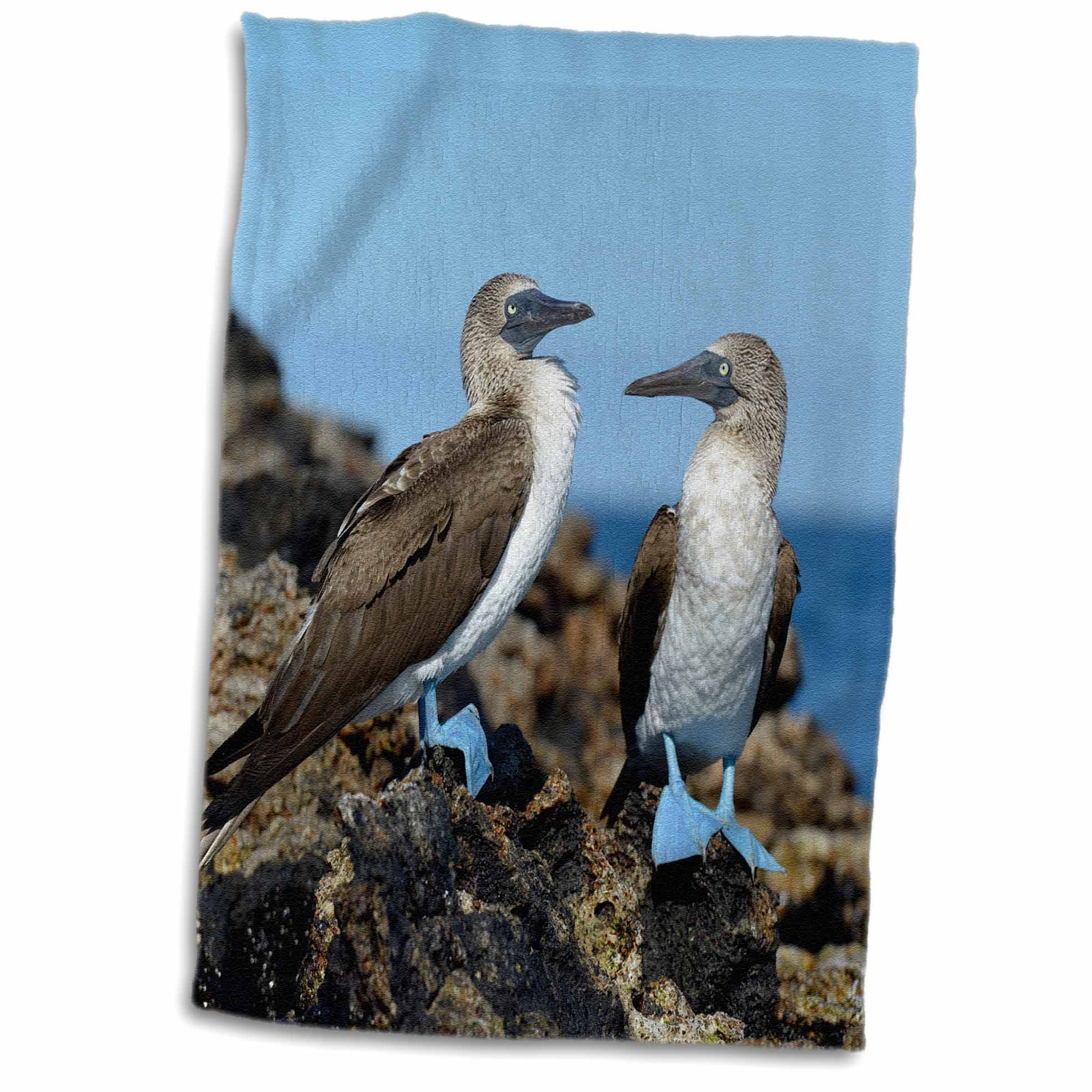 3dRose France, Aix-en-Provence. Textiles, Cours Mirabeau Market. - Towel, 38cm by 60cm