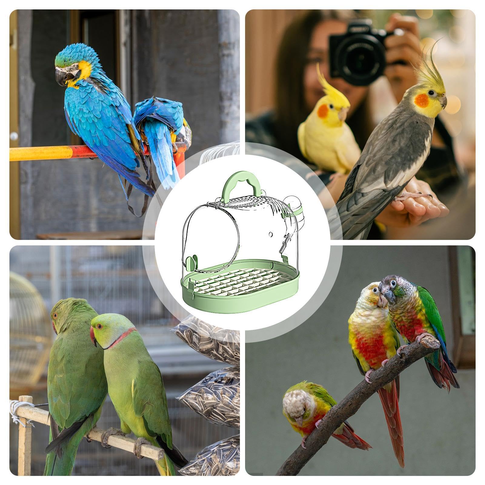Saque el transportador de Loros | Jaula para Loros Transpirable | Jaula de Mano Transparente | Saque Jaula con Pestillo de Bloqueo | Portátil