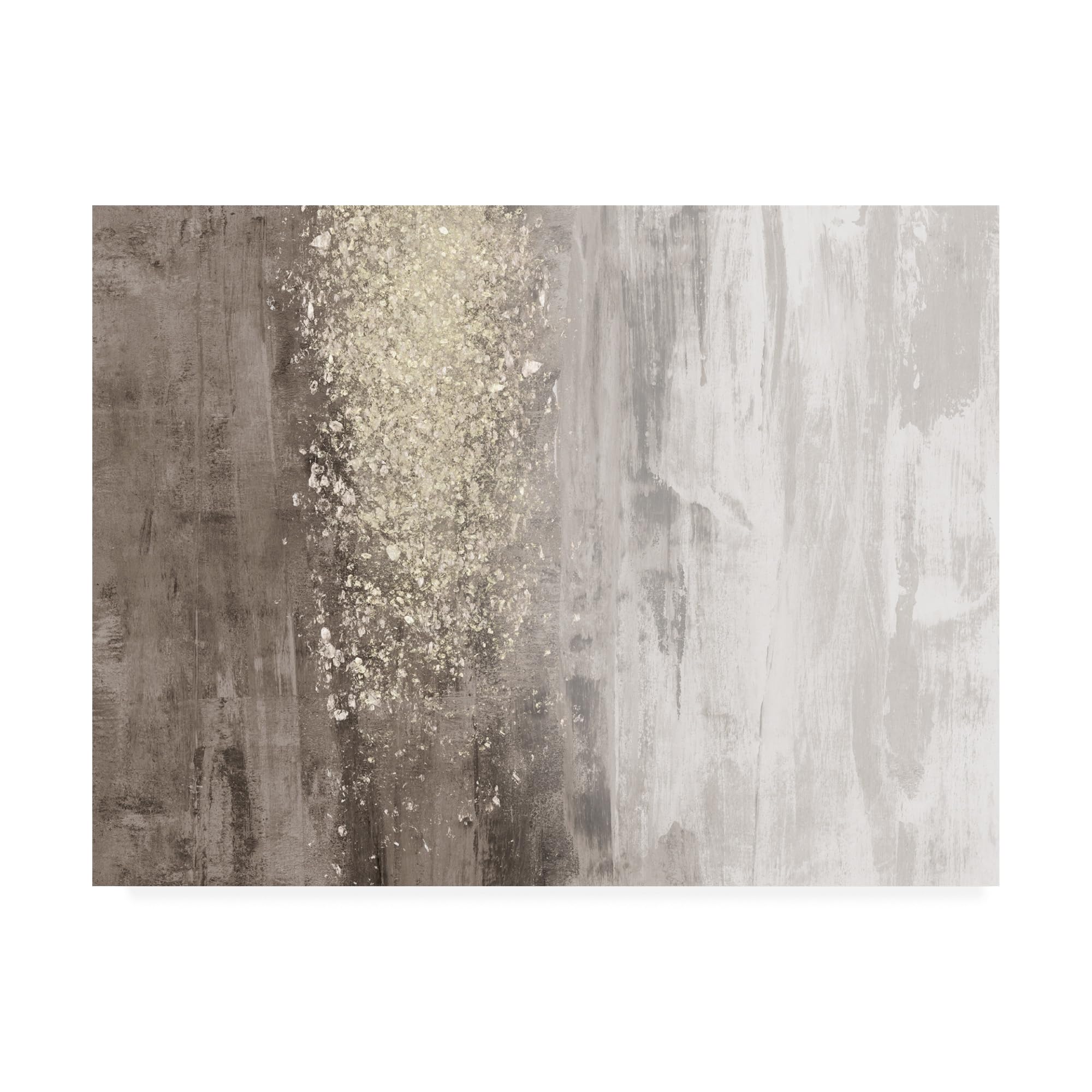 Photo 1 of **HAS 2 SMALL CUTS***Wrapped Canvas Wall Art - Jennifer Goldberger 'Glitter Rain Ii' Wall Art for Living Room, Bedroom, or Office Décor - 35x47