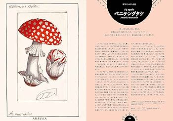 81Bc72wVJ8L._AC_UF350,