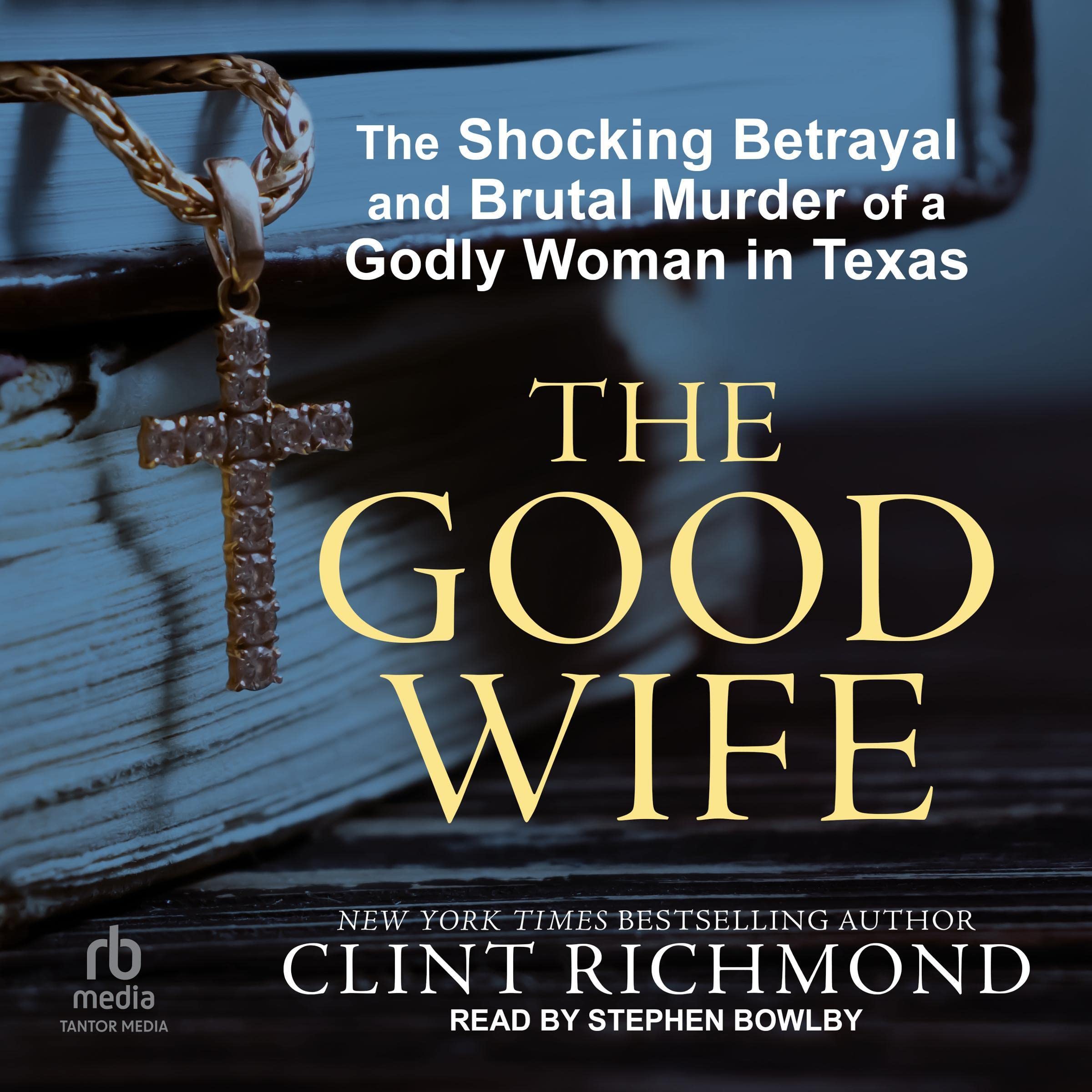 Cover art for The Good Wife