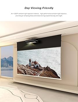 VIVID STORM SINCE 2004 100インチ Amazon.com: Vivid Storm