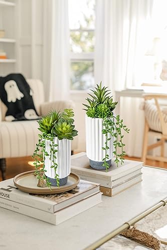 Miniatura 7 de Hollyone Juego de 2 plantas suculentas artificiales de 9 pulgadas, plantas suculentas falsas en maceta de cerámica, plantas suculentas para