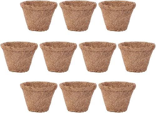 DOITOOL 10pcs Coconut Palm Nursery Basin Starter Pots Planting Basket Potted Plants Flower Basket Mats Appetizer Serving Tray Organic Coconut Plant