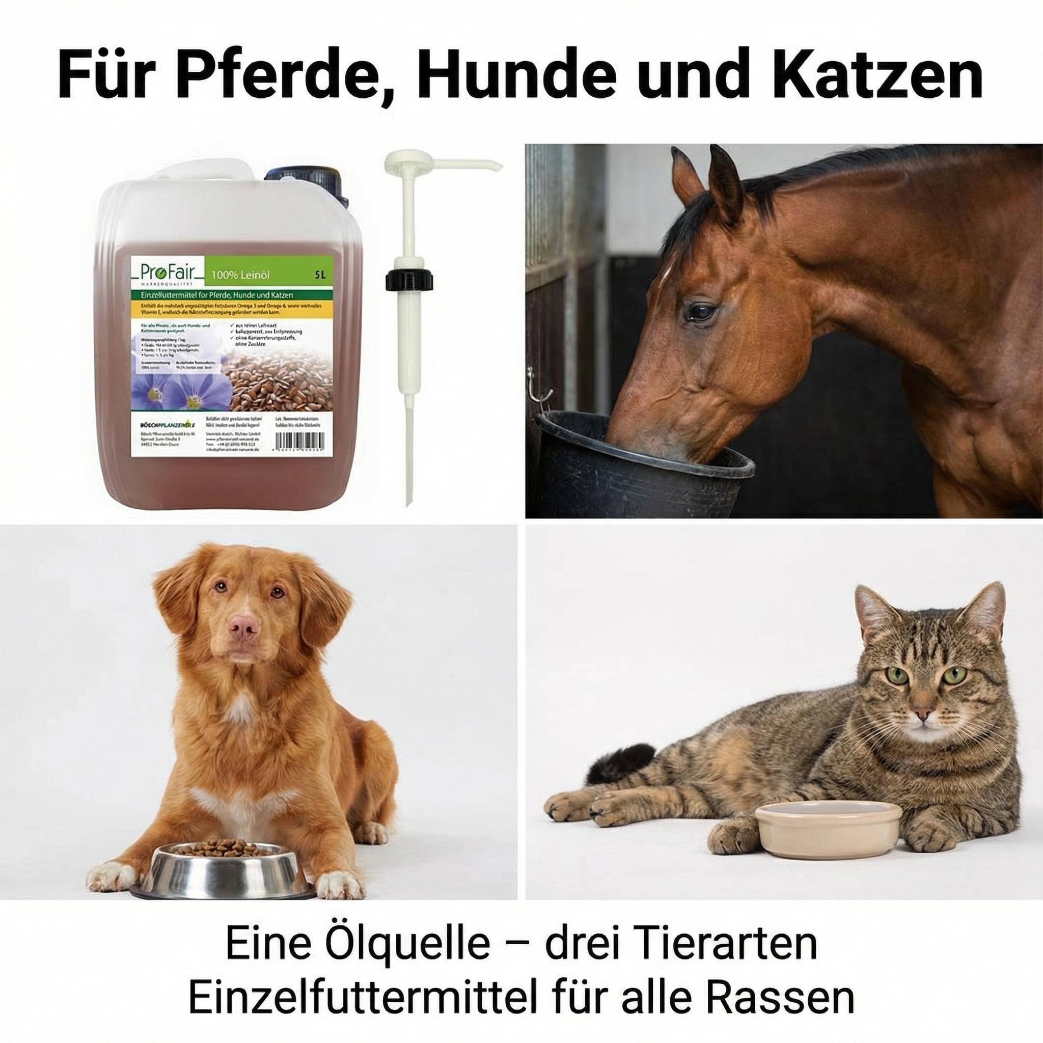 ProFair Leinöl für Pferde, Hunde & Katzen, kaltgepresst unter 40 °C, Erstpressung, 100% reine Leinsaat, Einzelfuttermittel, 5 L Vorratskanister inkl. Kanisterpumpe (ca. 30 ml/Hub)
