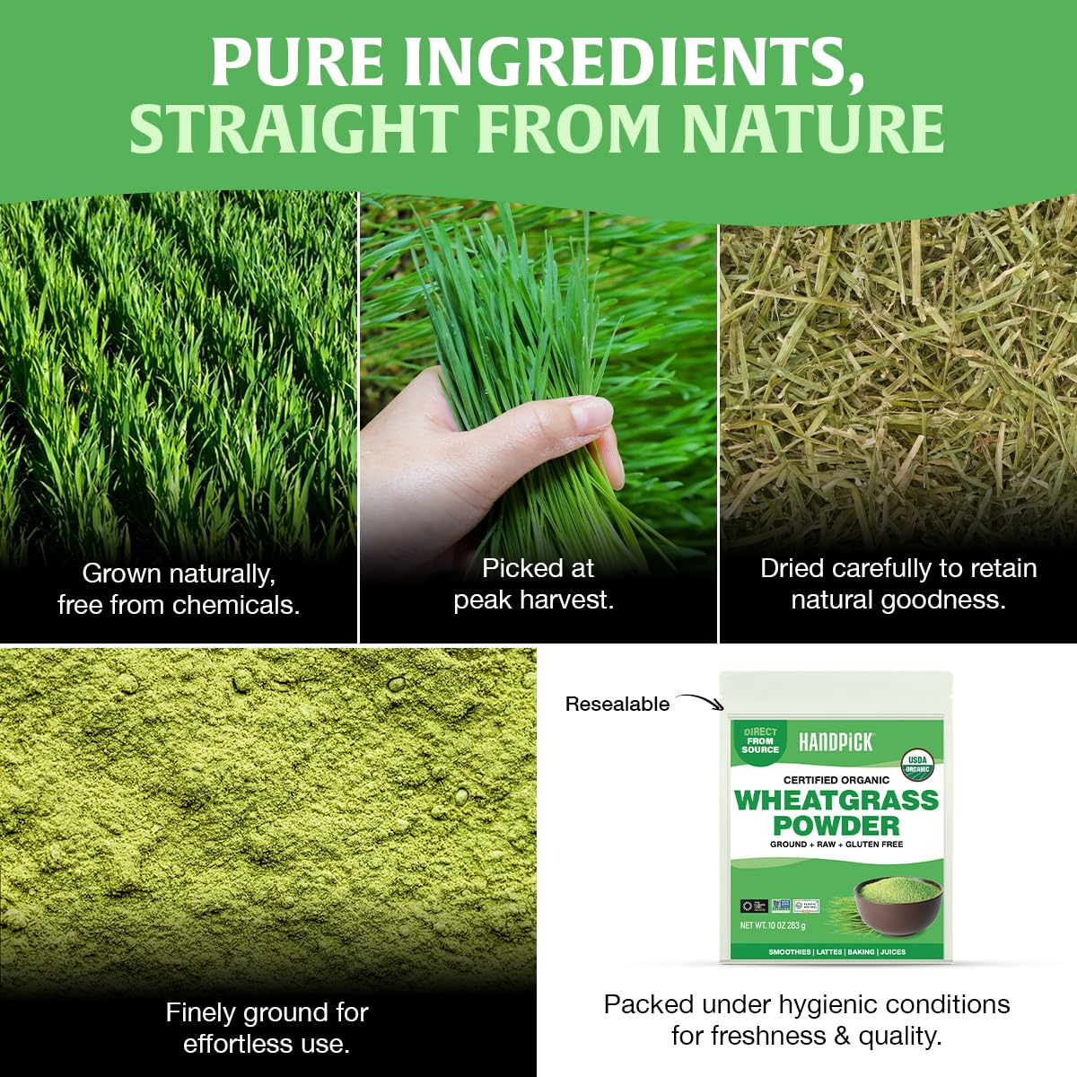 HANDPICK USDA Organic Wheatgrass Powder (10oz) Rich Green Powder - Lab Tested | 100% Whole Leaf | Gluten Free, Non-GMO | No Sugar, No Artificial Ingredients | Resealable Ziplock Pouch - Image 5