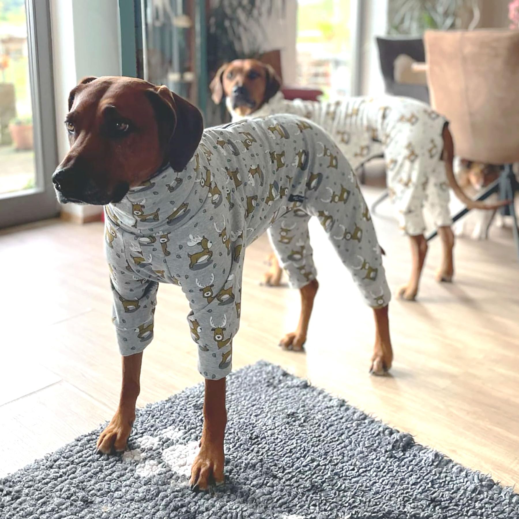 EDEL&SCHNELL Pull pour chien gris en coton douillet avec motif de cerf - Pyjama pour chien avec fermeture éclair - Body pour lévrier - Taille 40-45