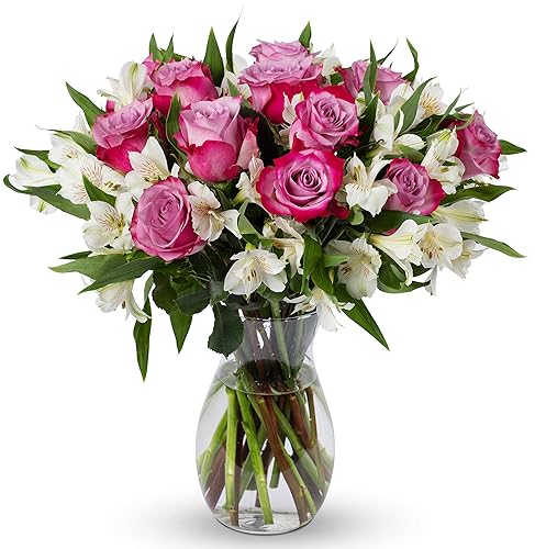 Benchmark Bouquets - Delightful Roses & Alstroemeria (Glass Vase Included) - Fresh Flowers for Delivery - Gift for Graduation, Birthday, Anniversary, Sympathy, Get Well, Congratulations - Lavender/White