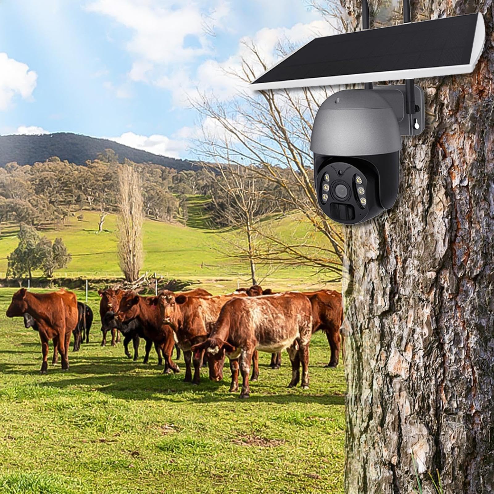 Telecamera per esterni wireless a energia solare, con telecamera solare