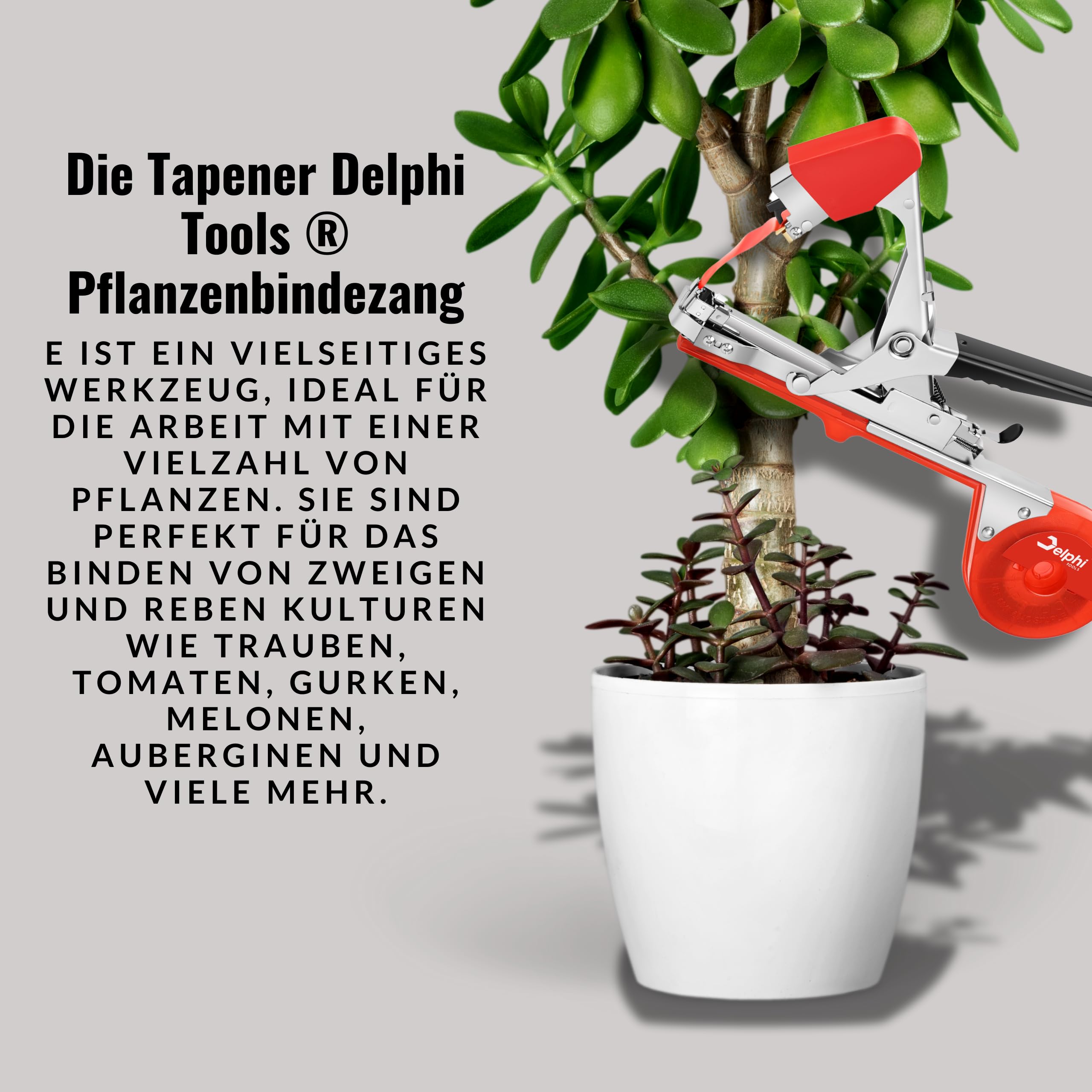 Pflanzen Bindezange mit 25 Bändern und Klammern