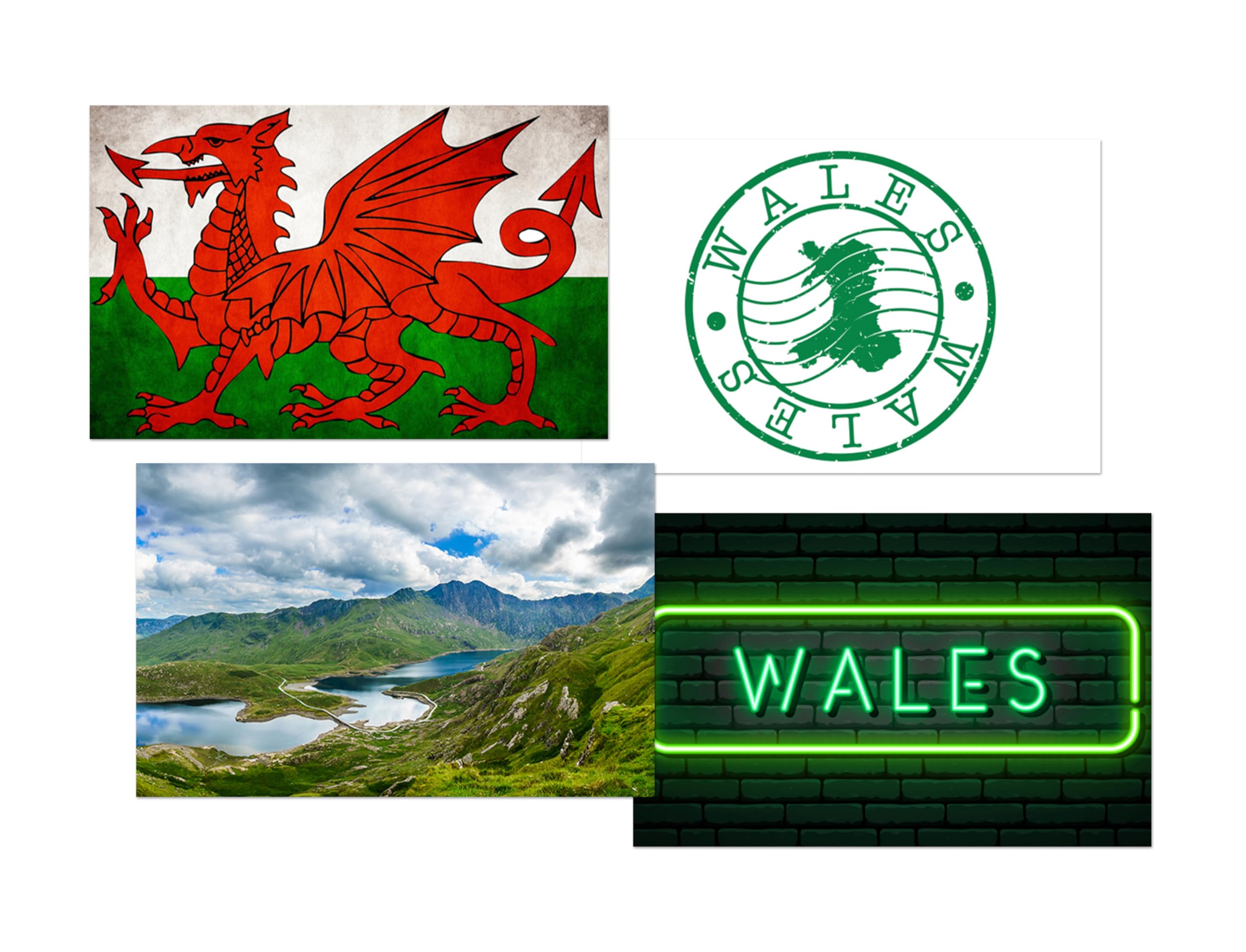 DV DESIGN Set of 4 Wales Green Ballpoint Pens - Image 2