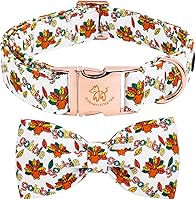 Vista 24 de Elegant little tail - Collar de otoño para mascotas con corbatín, lindo collar de Halloween con estampado de flores y calabaza para cachorros